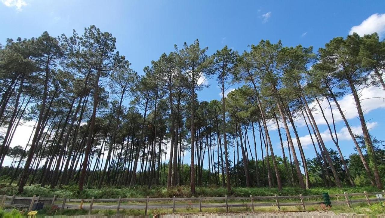 Maison Gemme A Landes Leon Ngoại thất bức ảnh